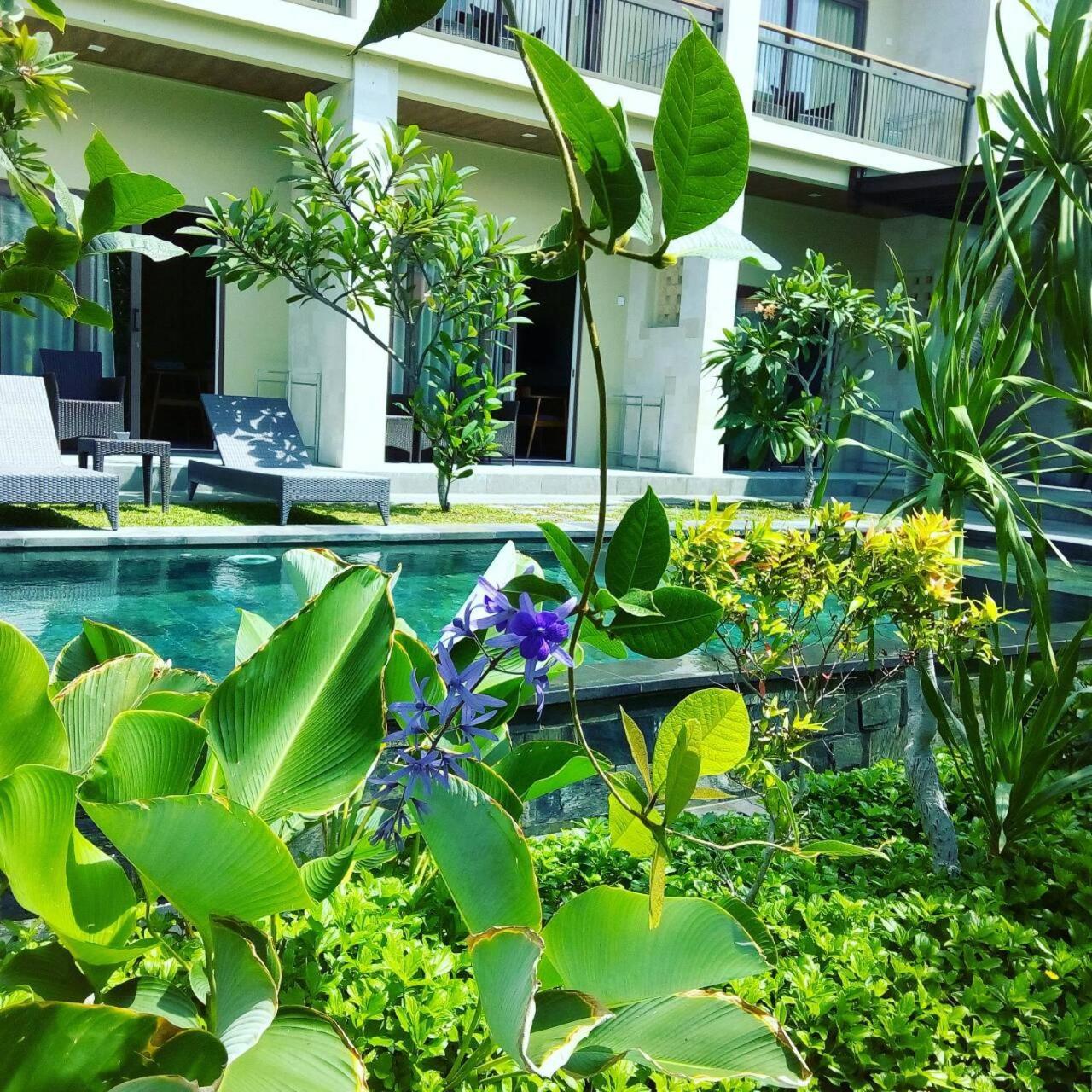 Arnaya Homestay Kuta Lombok Exterior foto